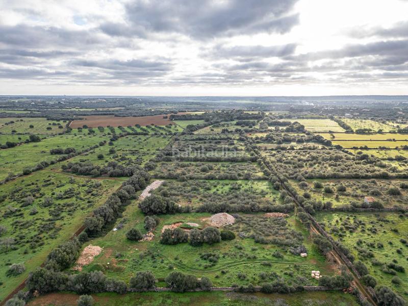 Foto 2b0031b9-a710-4450-bb17-2dff36da7cec. Chalet con parcheggio piscina in Campos