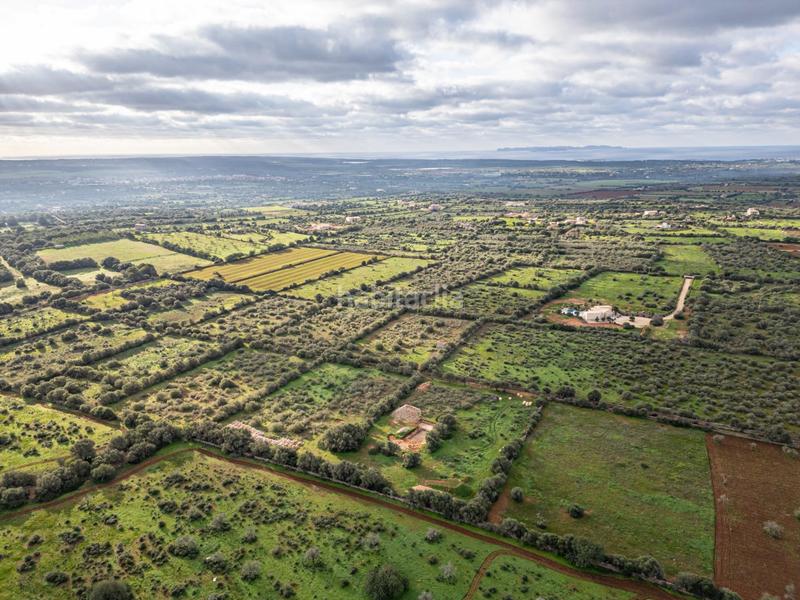 Foto 2eccd11f-1a9e-40cd-bf2f-fb5440987934. Chalet con parcheggio piscina in Campos