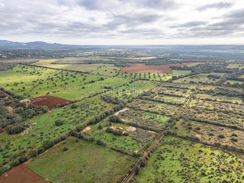 Foto 370d7c35-86b6-4c8e-b70c-681fe9b86a83. Chalet con parcheggio piscina in Campos