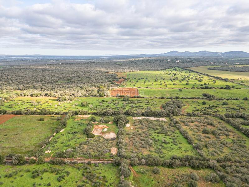 Foto 40357215-f996-45f7-8350-31fff4fd5e35. Chalet con parcheggio piscina in Campos