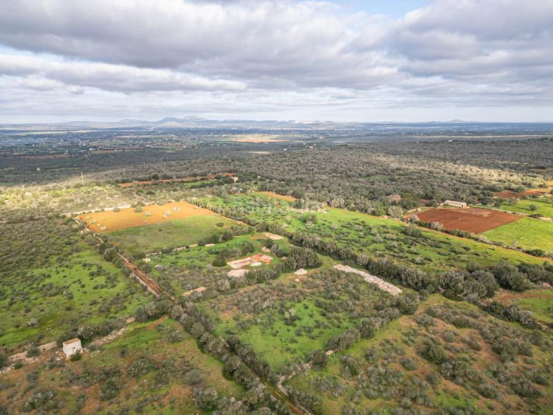 Foto 66e1c2bf-c57e-46d8-b6d9-17deb4fbc9c5. Chalet con parcheggio piscina in Campos