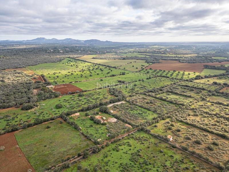 Foto 8affad98-73d2-4dcc-ba09-7834a37861c3. Chalet con parcheggio piscina in Campos