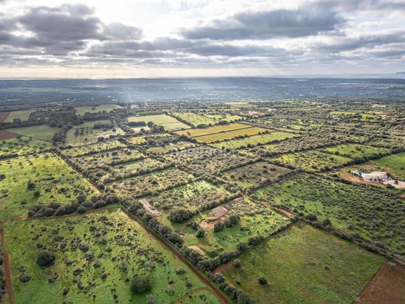 Foto 9a21cc99-47b5-432a-9a71-06d7bdd5f02c. Chalet con parcheggio piscina in Campos