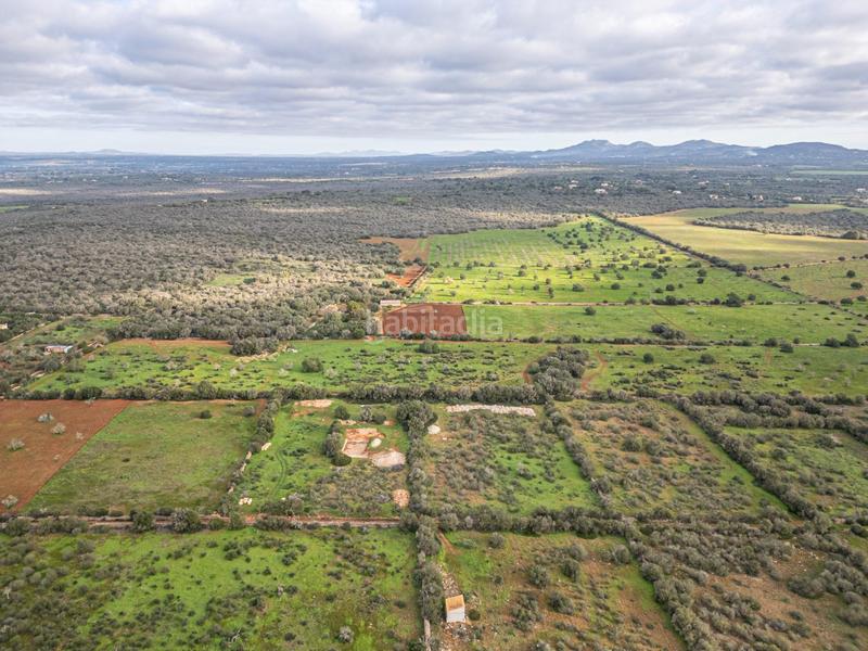 Foto a896afbb-4ba7-436c-bc76-1375bf0a4a34. Chalet con parcheggio piscina in Campos