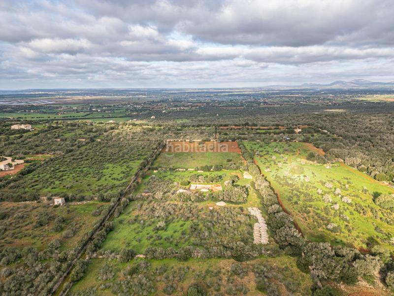 Foto b83510d4-60d0-40d9-a4df-1f9a84cf2a8f. Chalet con parcheggio piscina in Campos