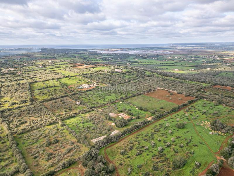 Foto c681b27a-b726-41b4-aabe-701cf21e6c49. Chalet con parcheggio piscina in Campos