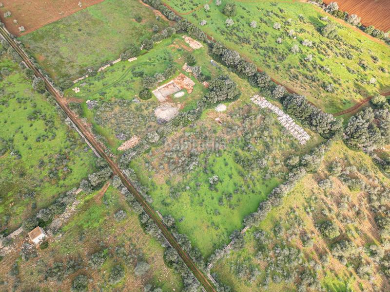 Foto cc42b572-5a86-4dca-b010-9b7038efdd9d. Chalet con parcheggio piscina in Campos