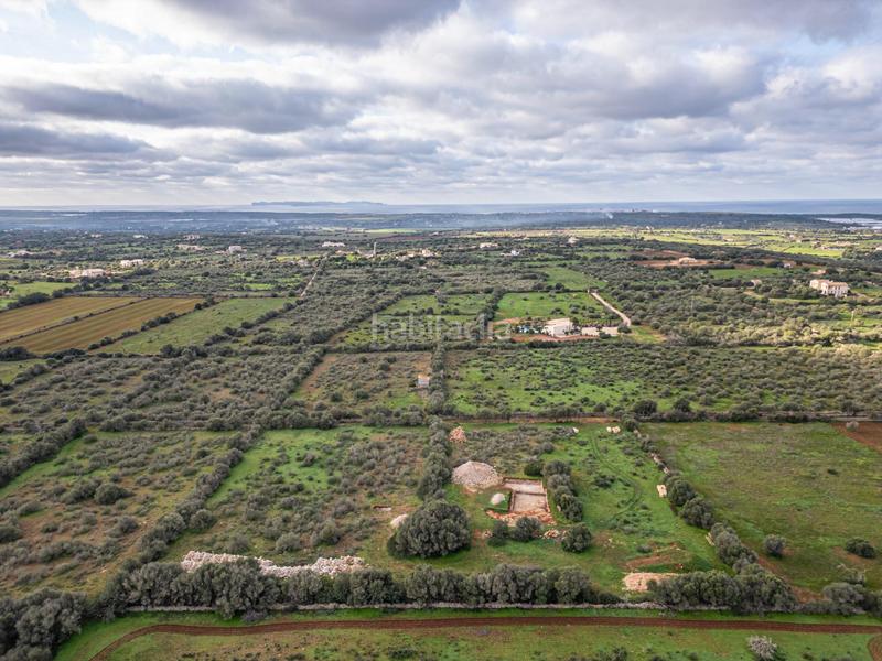 Foto d71a6ef3-2c9e-4129-9e9e-595c8581508a. Chalet con parcheggio piscina in Campos