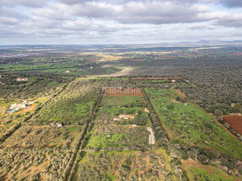 Foto e8084a71-25db-4dbf-83b8-998399af1efd. Chalet con parcheggio piscina in Campos