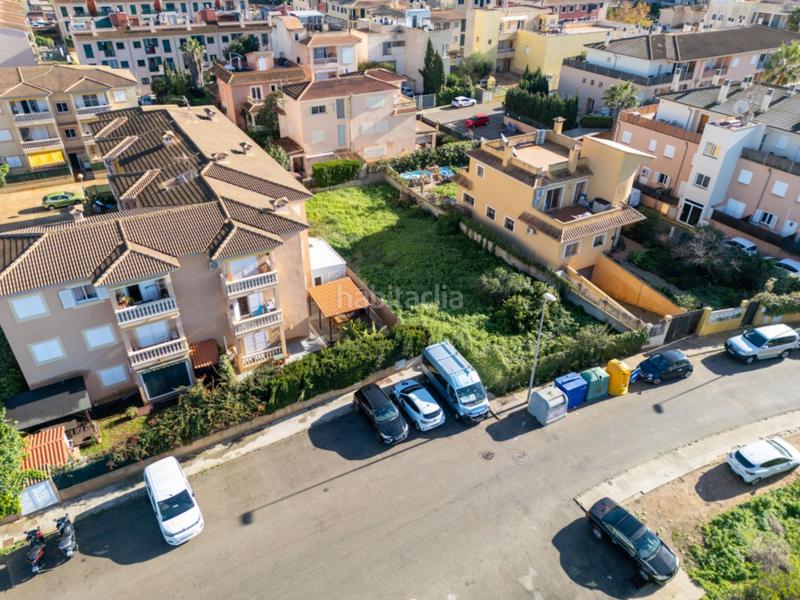 Foto d506f026-e6ba-423d-9827-cb8cd6cba50b. Finca rústica a Sa Torre Llucmajor