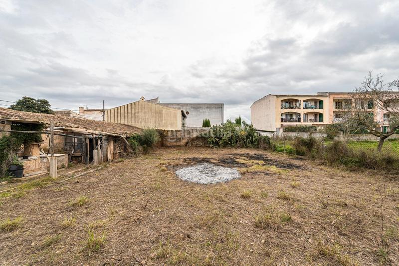 Foto 1359bfca-82a3-43de-ab80-0c38ef20cd35. Rural plot in carrer de sa galla 55 in Porreres