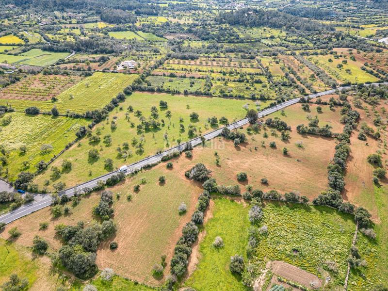 Foto b9d7fb2c-e492-41e6-8594-c9b6b07631c5. Fondo rustico in Felanitx poble Felanitx
