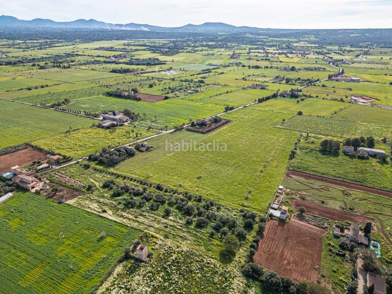 Foto 08c95fec-21c7-42f1-b7e6-69990536667c. Finca rústica a Campos