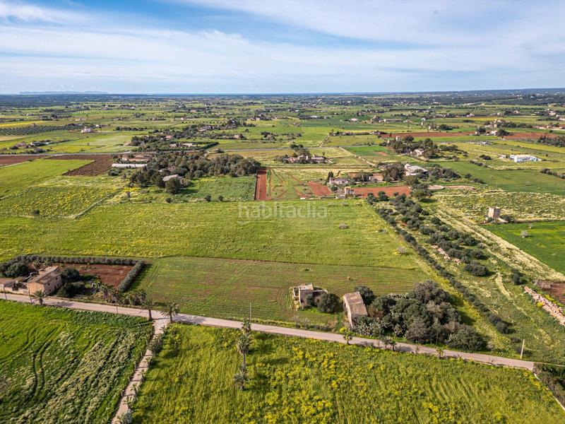 Foto 17a13f45-e6d0-486c-89a6-96195547eac0. Finca rústica a Campos