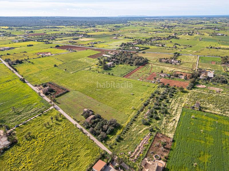 Foto 6a2b03bc-b162-49d9-9bef-785aa82100ef. Finca rústica a Campos