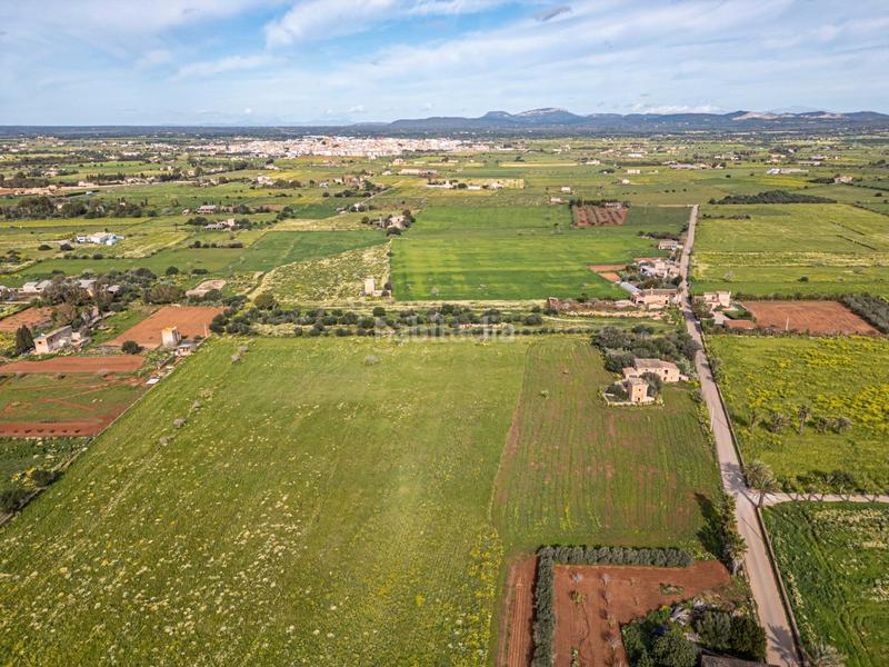 Foto 740af58b-102e-4a88-acee-d275250301b5. Finca rústica a Campos