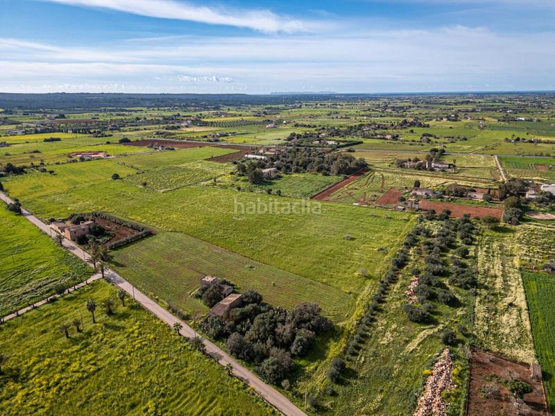 Foto 8b022ae1-1145-4cf4-b795-45e98a7b2661. Finca rústica a Campos