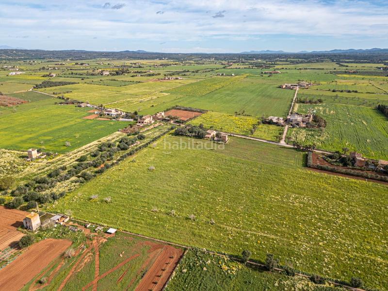Foto a0ce3d25-d555-4fbe-a481-f689ff2fc96c. Finca rústica a Campos