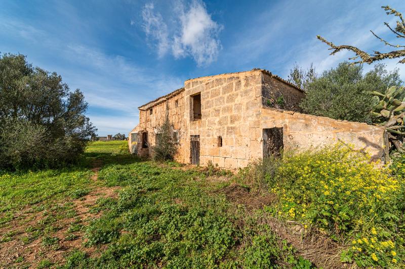 Foto a2f1a5d4-6402-4f54-ab3e-e729afc8f0e9. Finca rústica a Campos