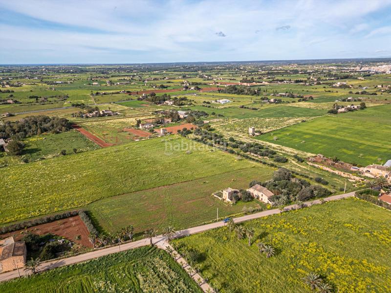 Foto a55b766a-41bf-49f9-9b27-9a21087129e1. Finca rústica a Campos