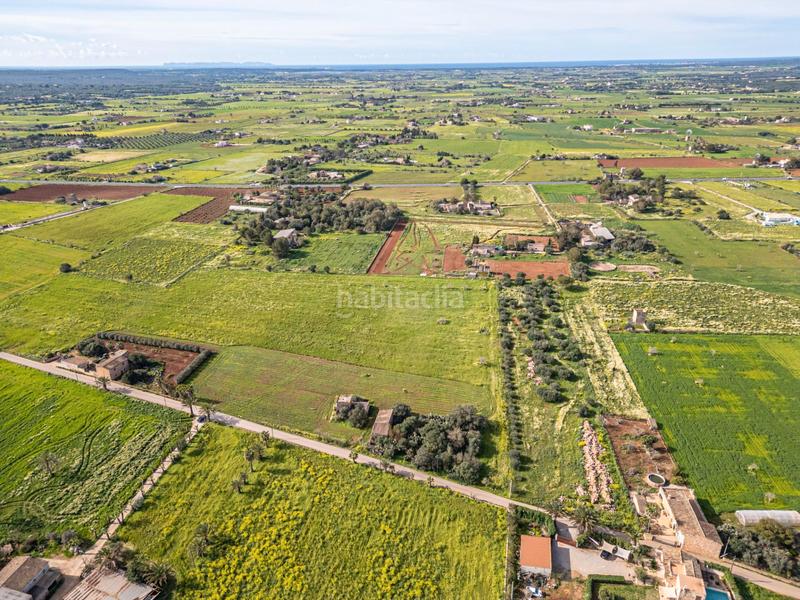 Foto bdf09a24-cbb4-4f78-b5e1-9413f325f6e7. Finca rústica a Campos