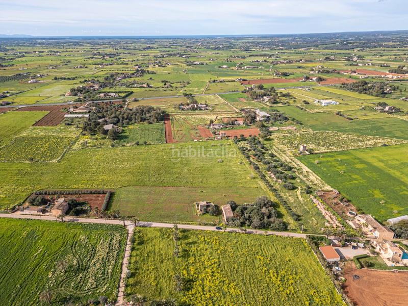 Foto c15a679f-8493-4b5f-b433-ee069b801897. Finca rústica a Campos