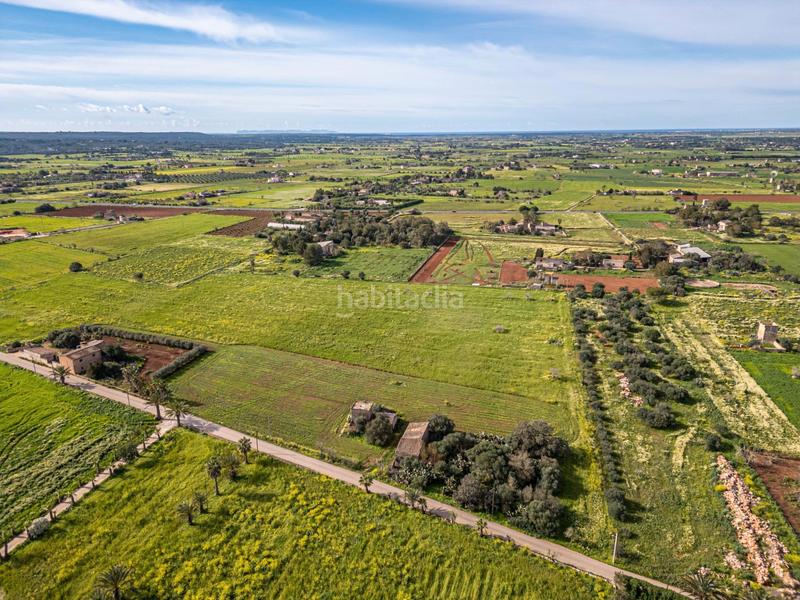 Foto c8672f84-67cb-46c0-a1ac-34a0cd9f63b2. Finca rústica a Campos