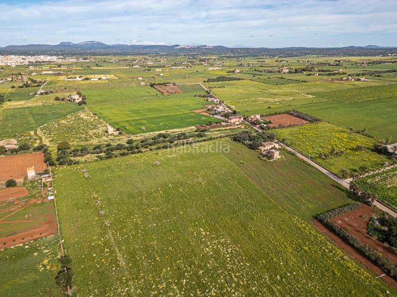 Foto cbbc2a64-f606-4bdf-98e7-253d9ab1aeab. Finca rústica a Campos