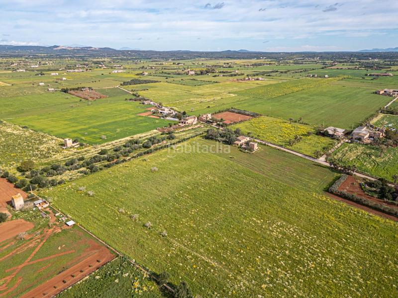 Foto ea69c2fc-06d7-4135-9a3d-ab474943c449. Finca rústica a Campos