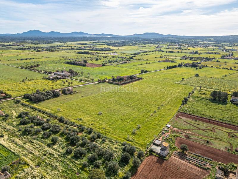 Foto f24c2701-d79a-4085-aa68-b5b4bc7ff9d2. Finca rústica a Campos