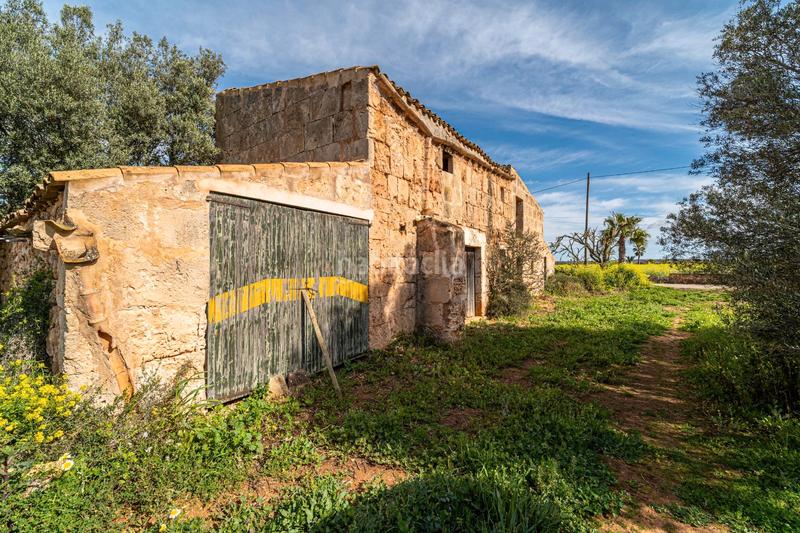 Foto f5cce87d-94f5-4627-9b82-e0c89f1d6877. Finca rústica a Campos