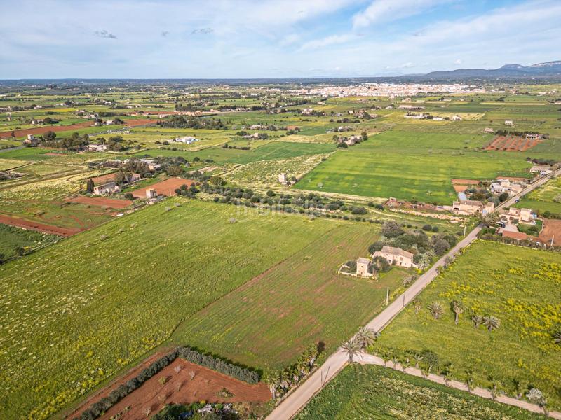 Foto ff1e8533-9b76-456b-8b74-64fe1ecbffde. Finca rústica a Campos