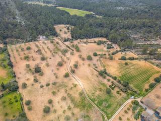 Rural plot in Porreres