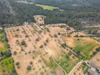 Rural plot in Porreres. Finca rústica en la zona de son valls, porreres