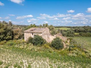 Mas à Petra. Finca rústica con edificación para reformar y ampliar en petra,