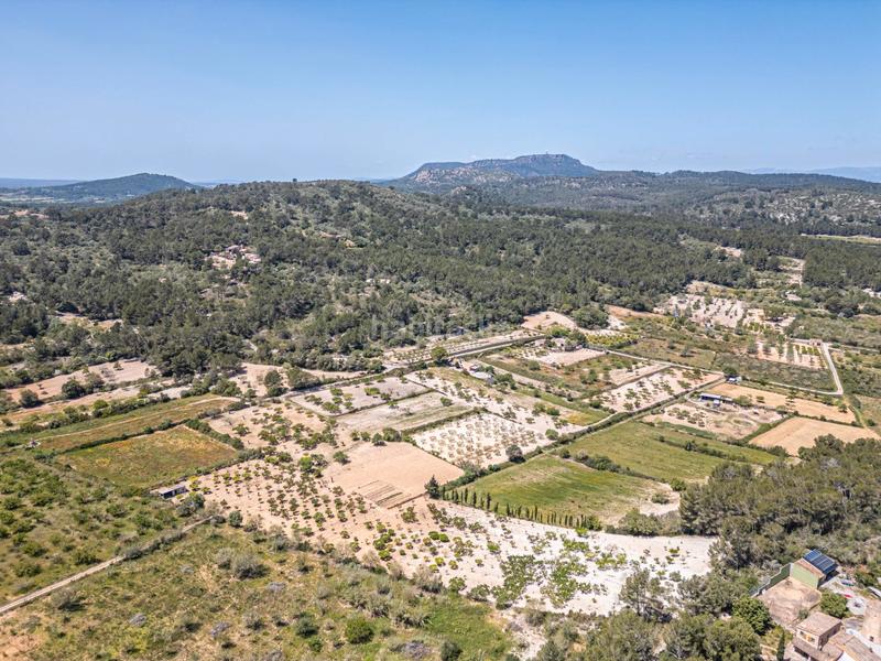 Foto 071af1ec-8278-461c-a8b7-ac1fece8eabc. Finca rústica terreno rústico con pozo , mallorca en Porreres