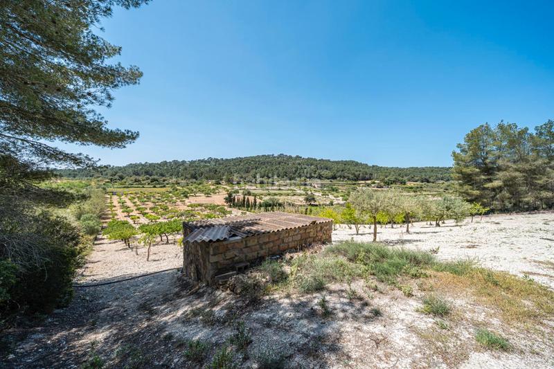 Foto 189dd297-7906-418c-8fa4-246a0464fc07. Finca rústica terreno rústico con pozo , mallorca en Porreres