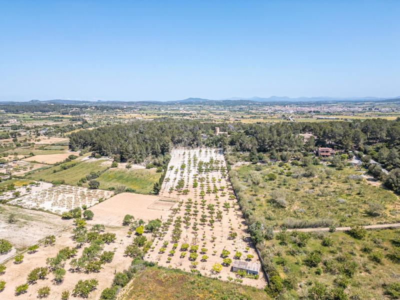 Foto 1df40ea4-8f18-4615-8e1a-5eb262b90dbb. Finca rústica terreno rústico con pozo , mallorca en Porreres