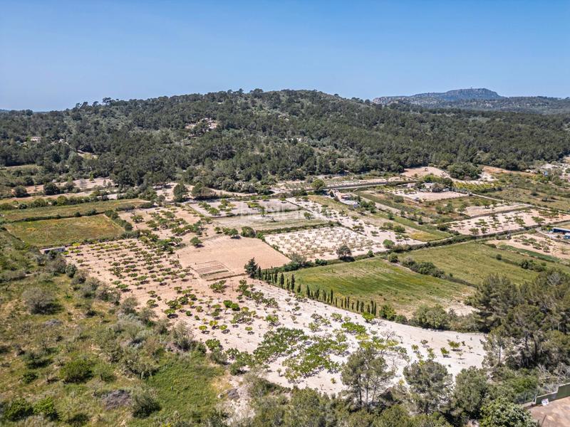 Foto 2e151c94-da8a-4424-846a-8387e1edb278. Finca rústica terreno rústico con pozo , mallorca en Porreres