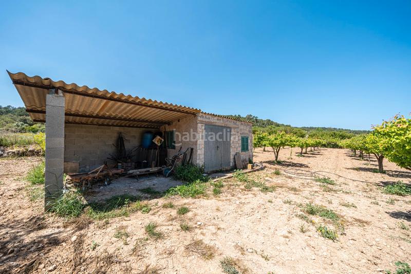 Foto 36340e08-56e1-496b-b941-1acb87431a36. Finca rústica terreno rústico con pozo , mallorca en Porreres