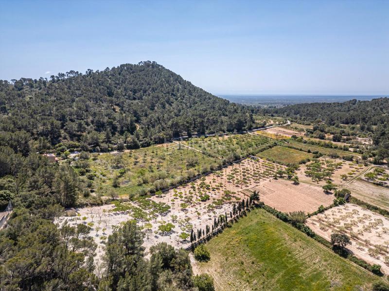 Foto 3c78ad10-f9aa-4563-8c21-76442f9e5fb5. Finca rústica terreno rústico con pozo , mallorca en Porreres