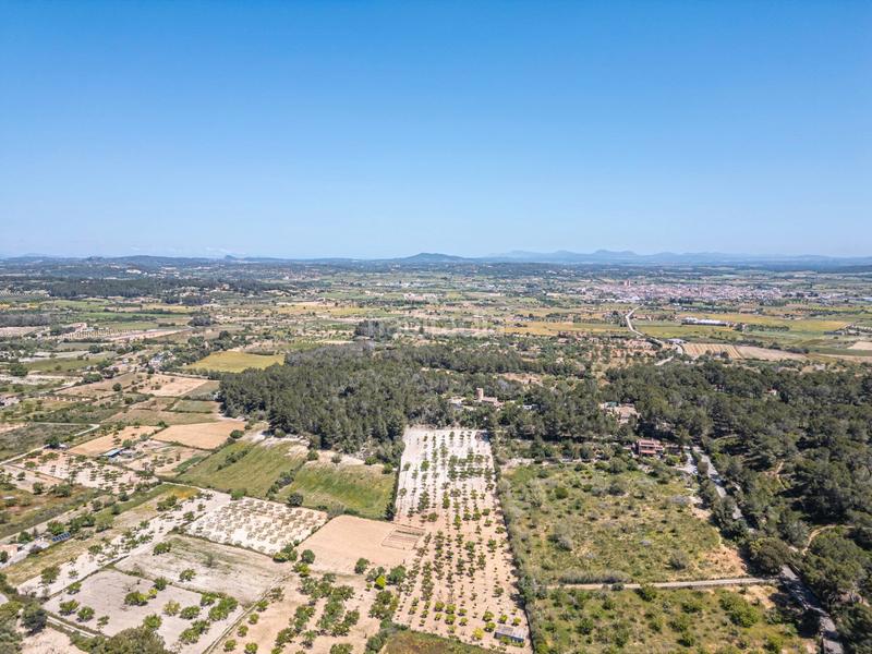 Foto 444cb2f6-03e1-46cb-a46c-5dcfd03e4077. Finca rústica terreno rústico con pozo , mallorca en Porreres