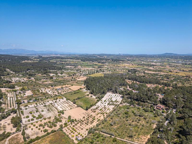 Foto 473f7416-8d73-42d7-8f0e-8bacdc7b4647. Finca rústica terreno rústico con pozo , mallorca en Porreres