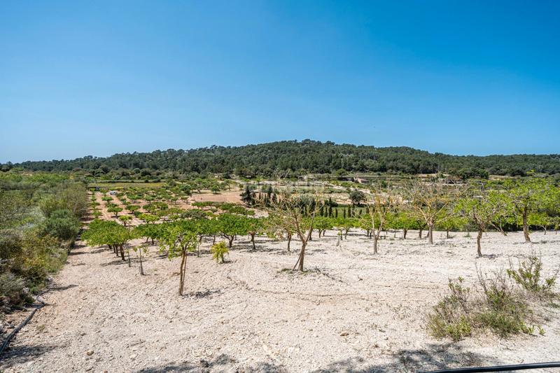Foto 49a600f4-7d46-475c-95e9-b2191de01673. Finca rústica terreno rústico con pozo , mallorca en Porreres
