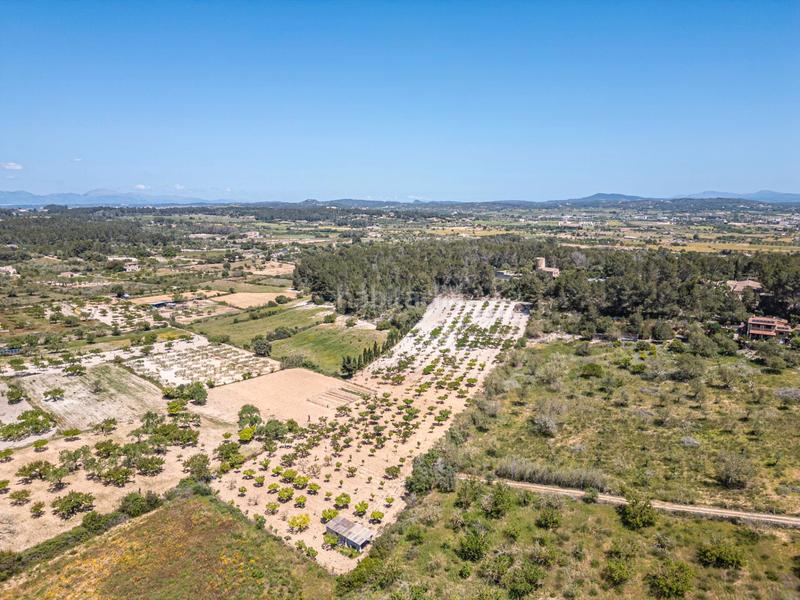 Foto 7cf8ecdd-77e1-45c2-950a-a72212fe05b4. Finca rústica terreno rústico con pozo , mallorca en Porreres