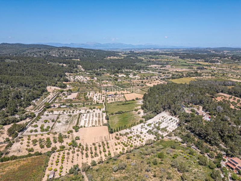 Foto 8c9bd64c-ffb7-4c8f-bd17-608a6784a075. Finca rústica terreno rústico con pozo , mallorca en Porreres