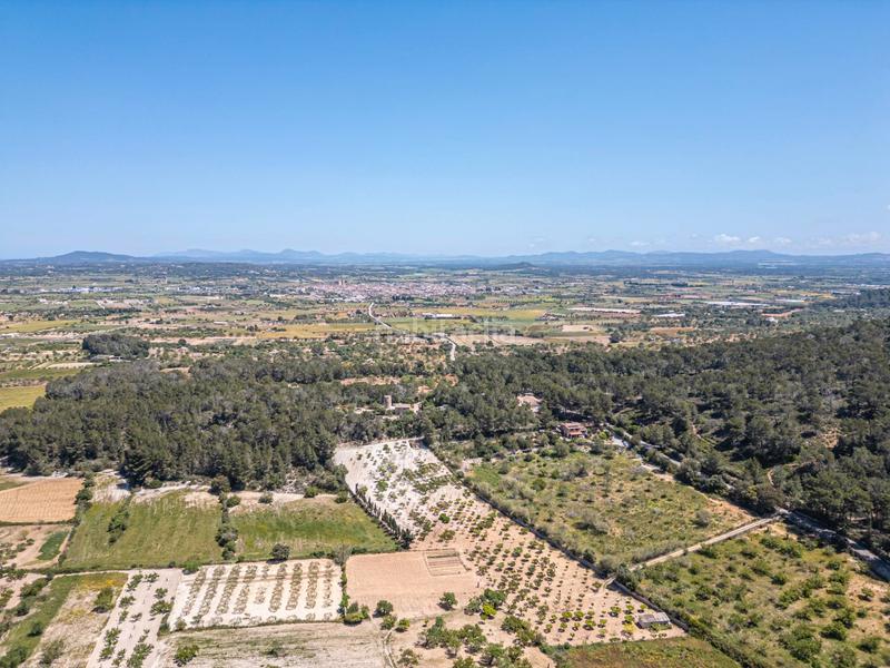Foto 90ef3fd1-9284-40b0-b0a5-38fcdd044ad4. Finca rústica terreno rústico con pozo , mallorca en Porreres