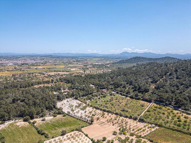 Foto bc06ed9e-fa35-4e4a-830b-1afbeb368812. Finca rústica terreno rústico con pozo , mallorca en Porreres