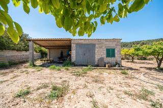 Rural plot in Porreres. Terreno rústico con pozo en porreres, mallorca