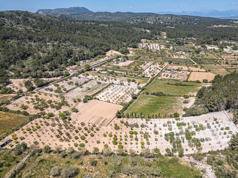 Foto d55160e0-c829-4944-a741-71757b0aef33. Finca rústica terreno rústico con pozo , mallorca en Porreres